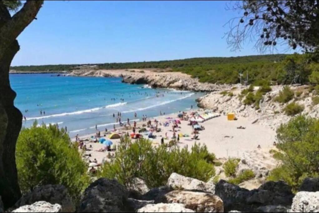 Studio Mer Et Vacances Sausset-les-Pins Esterno foto